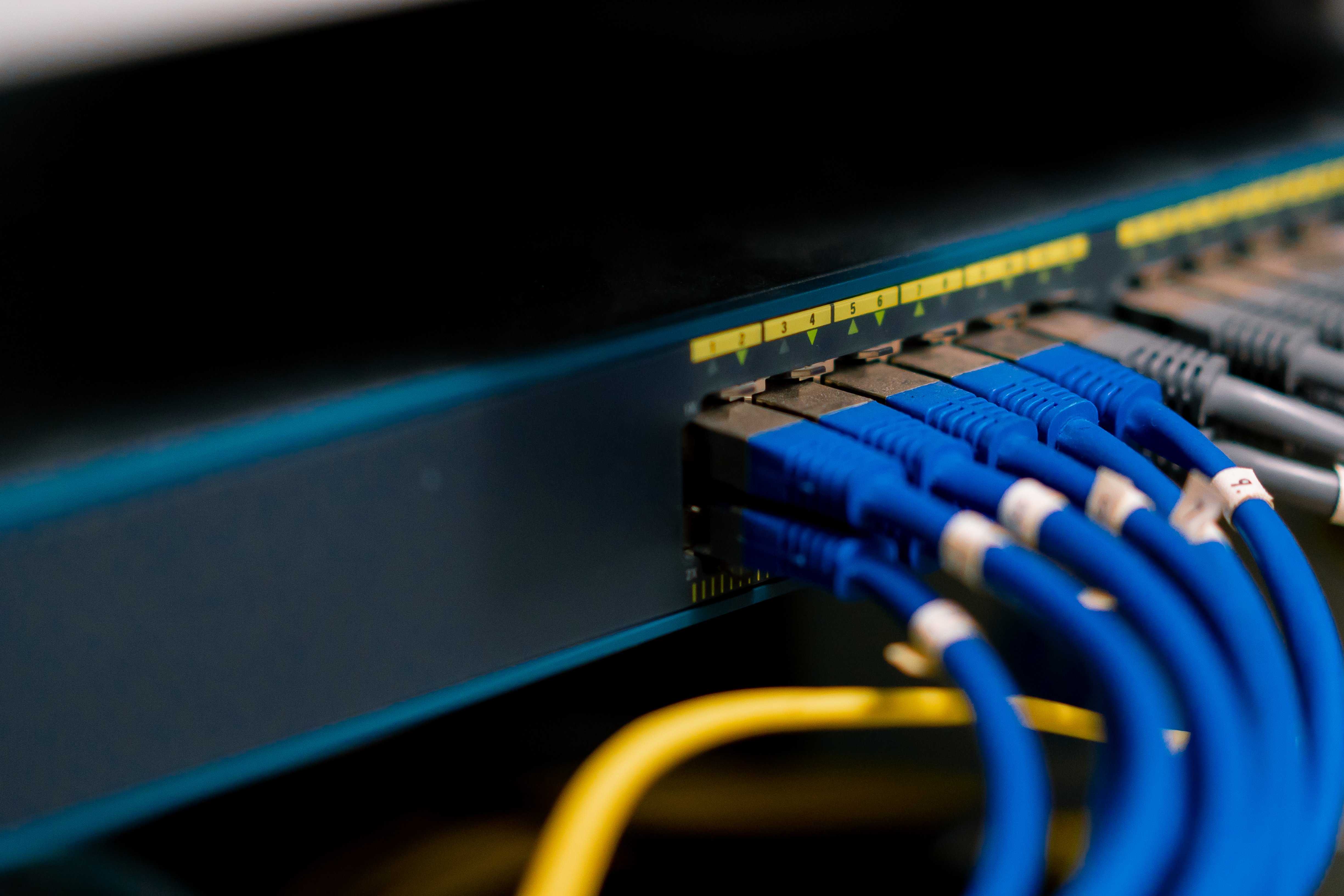 a-bunch-of-patch-network-cables-sorted-in-a-rack-c-2024-11-26-10-21-41-utc